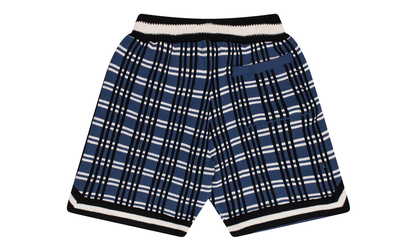 Plaid Basketball Knit Shorts "Blue" RHFW23JA23151864