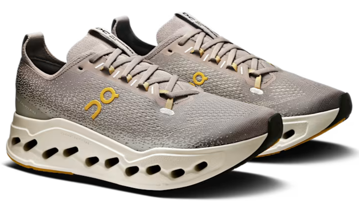 Running Cloudsurfer Max Cinder Pelican