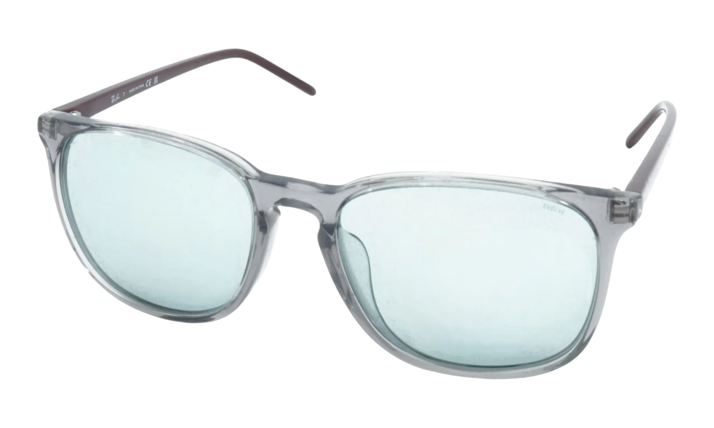 Square Sunglasses "TRANSPARENT GREY" RB4387F-1350-Q5_55