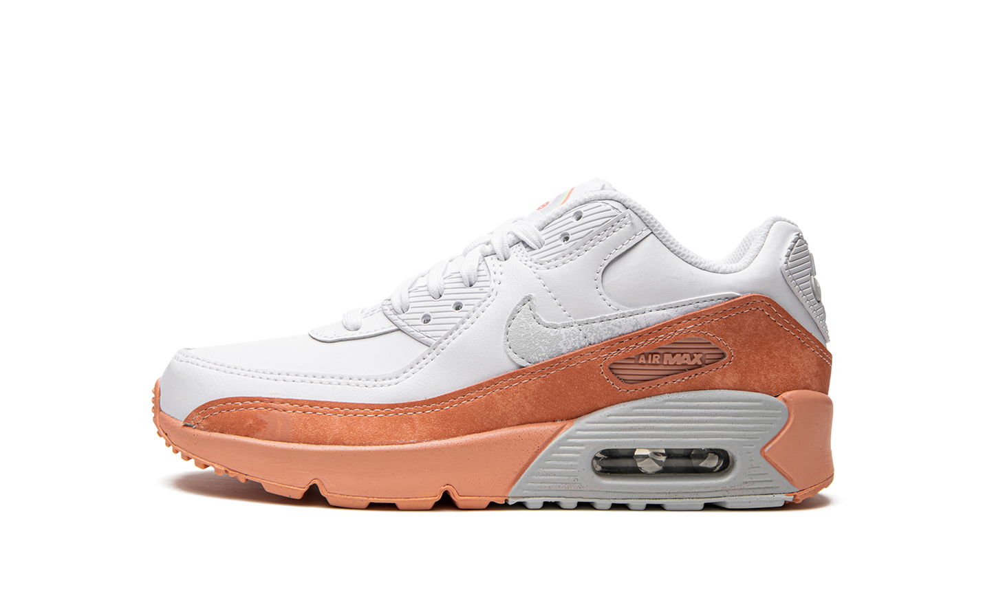 Air Max LTR 90 GS DM0956 100