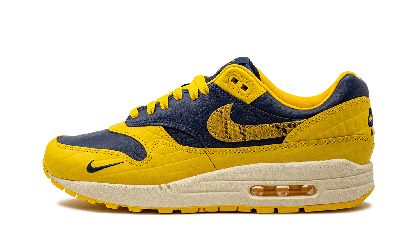 AIR MAX 1 PRM MNS WMNS "Co.jp Head to Head" FJ5479 410