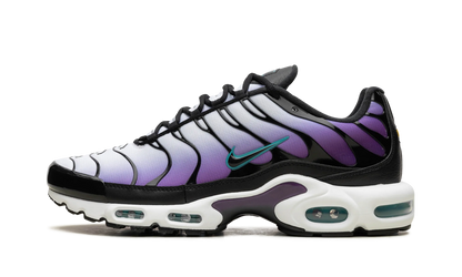Air Max Plus "Reverse Grape" FQ2415 500