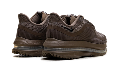 Pegasus Premium "Caldera Brown" IQ5691 200