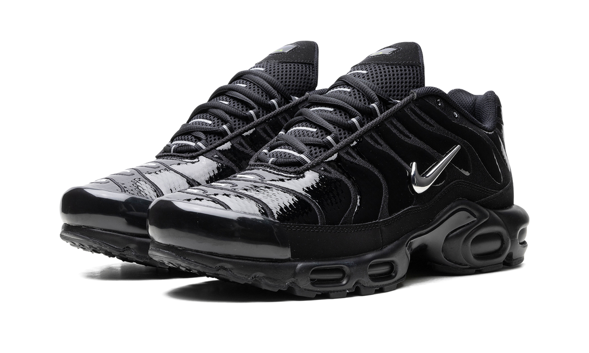 Air Max Plus "Metallic Black" FJ2591 001