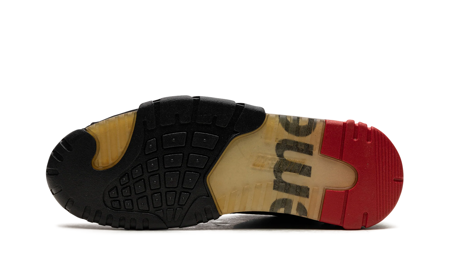 Air Trainer 2 SB Supreme "SUPREME" 317646 001