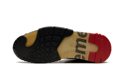 Air Trainer 2 SB Supreme "SUPREME" 317646 001
