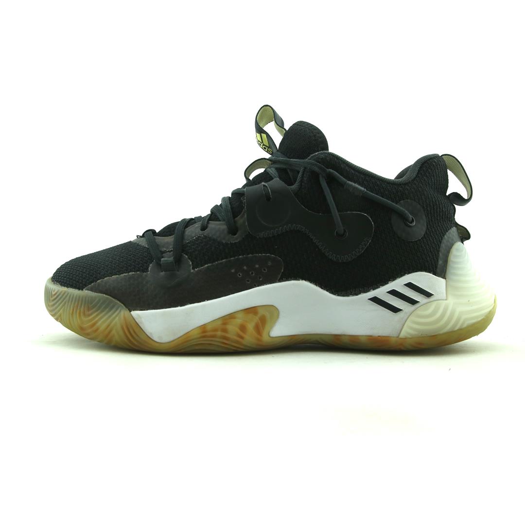 HARDEN STEPBACK 3