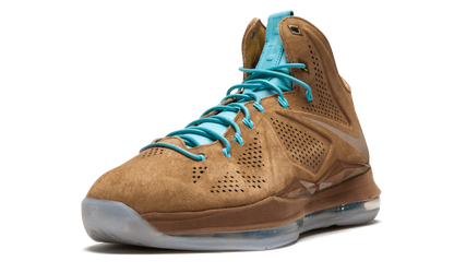 Lebron 10 EXT QS "Brown Suede" 607078 200