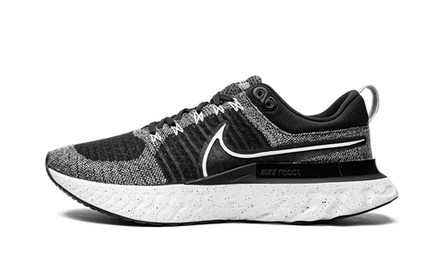 React Infinity Run Flyknit 2 CT2357 101