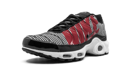 Air Max Plus TN SE "Striped" AT0040 001