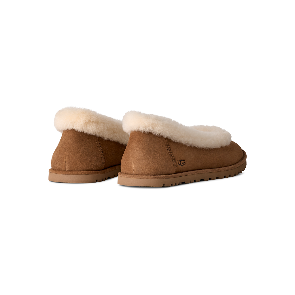 Women's Zora Ballet Flat in Chestnut Bundled with Care Kit + Socks