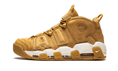 Air More Uptempo '96 PRM AA4060 200