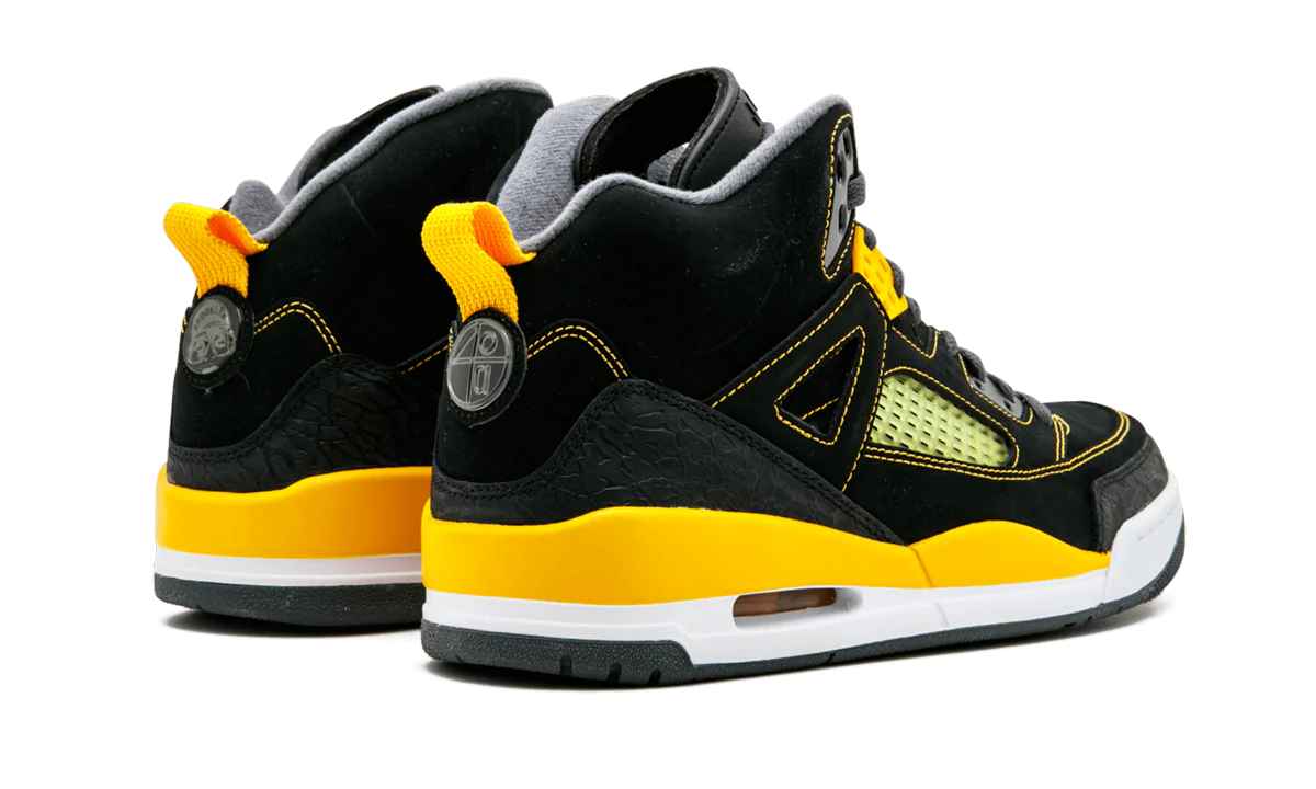 Jordan Spiz'ike 315371 030