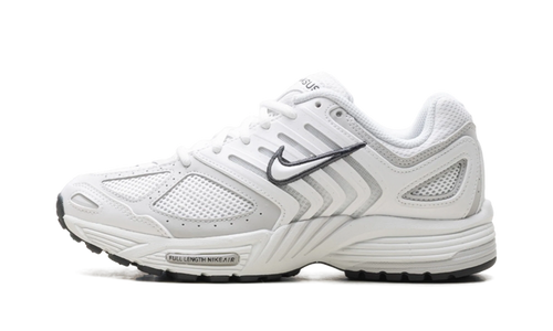 Air Pegasus 2005 WMNS "Summit White Photon Dust" HQ5718 103
