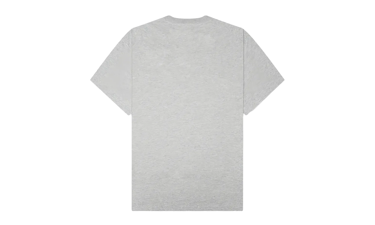 Stimulation SS Tee "Grey" P26SP066-HTR