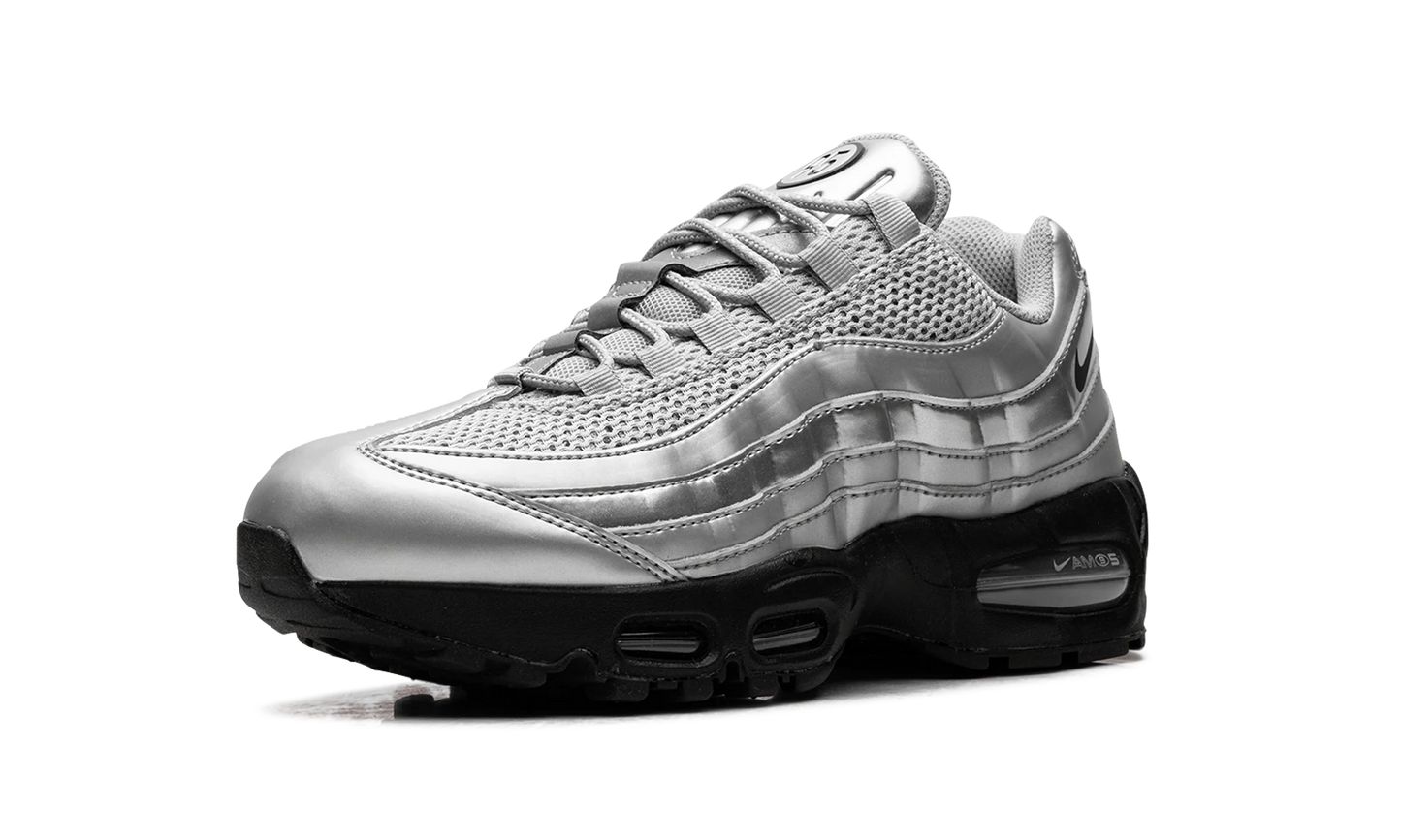 Nike Air Max 95 "Total 90 - Metallic Silver" IB6830 002