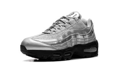 Nike Air Max 95 "Total 90 - Metallic Silver" IB6830 002