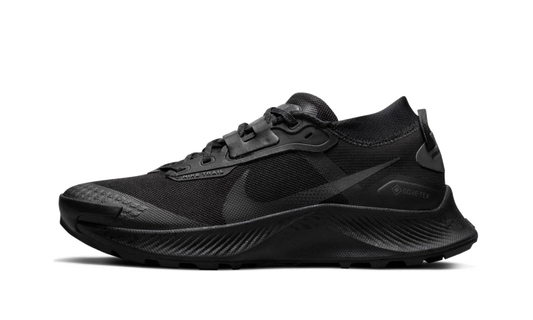 Pegasus Trail 3 Gore-Tex Wmns"Black" DC8794 001