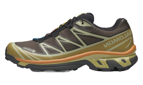 XT-6 Gore-Tex "Delicioso Tea" L49202100