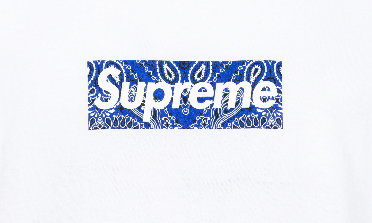 Bandana Box Logo Tee "FW19" SU8604