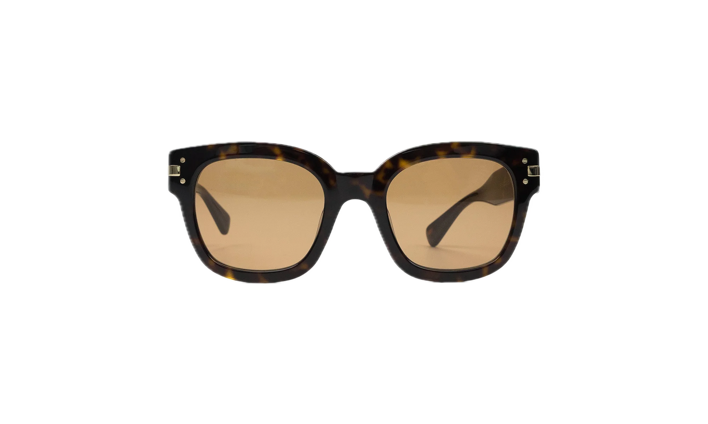 Classic Logo Sunglasses "Brown" XA41763AC_Tortoise/Brown