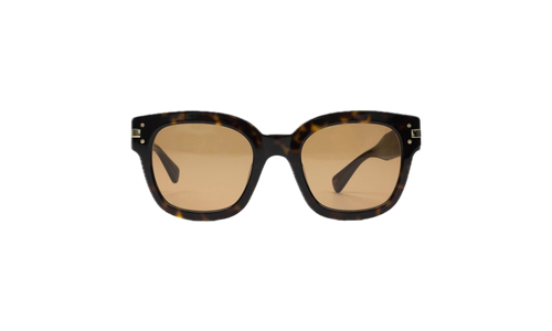 Classic Logo Sunglasses "Brown" XA41763AC_Tortoise/Brown