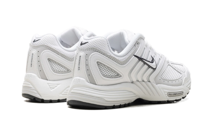 Air Pegasus 2005 WMNS "Summit White Photon Dust" HQ5718 103