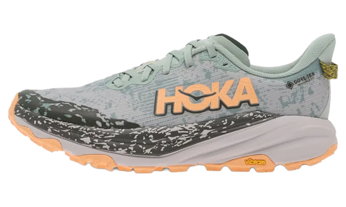 Speedgoat 6 GTX WMNS "Jade Ash Grey" 1155151 JSH