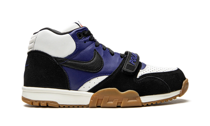 SB Air Trainer 1 "Polar Skate Company" CI6892 001
