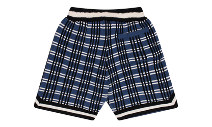 Plaid Basketball Knit Shorts "Blue" RHFW23JA23151864