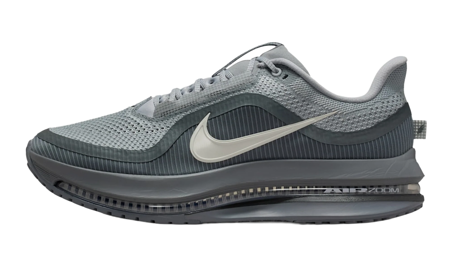 Air Zoom Pegasus Premium "Wolf Grey" HQ2592 013