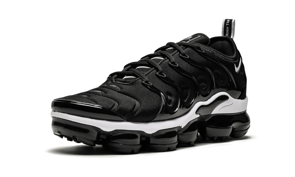 Air Vapormax Plus 924453 011