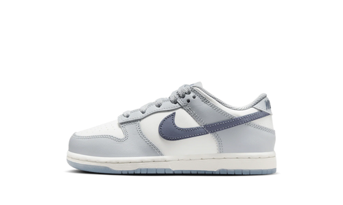 Dunk Low PS "Light Carbon" FB9108 101