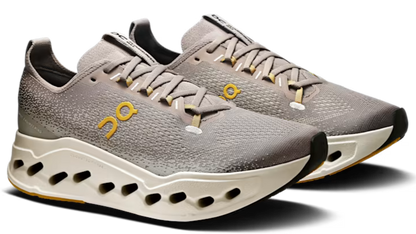 Running Cloudsurfer Max Cinder Pelican