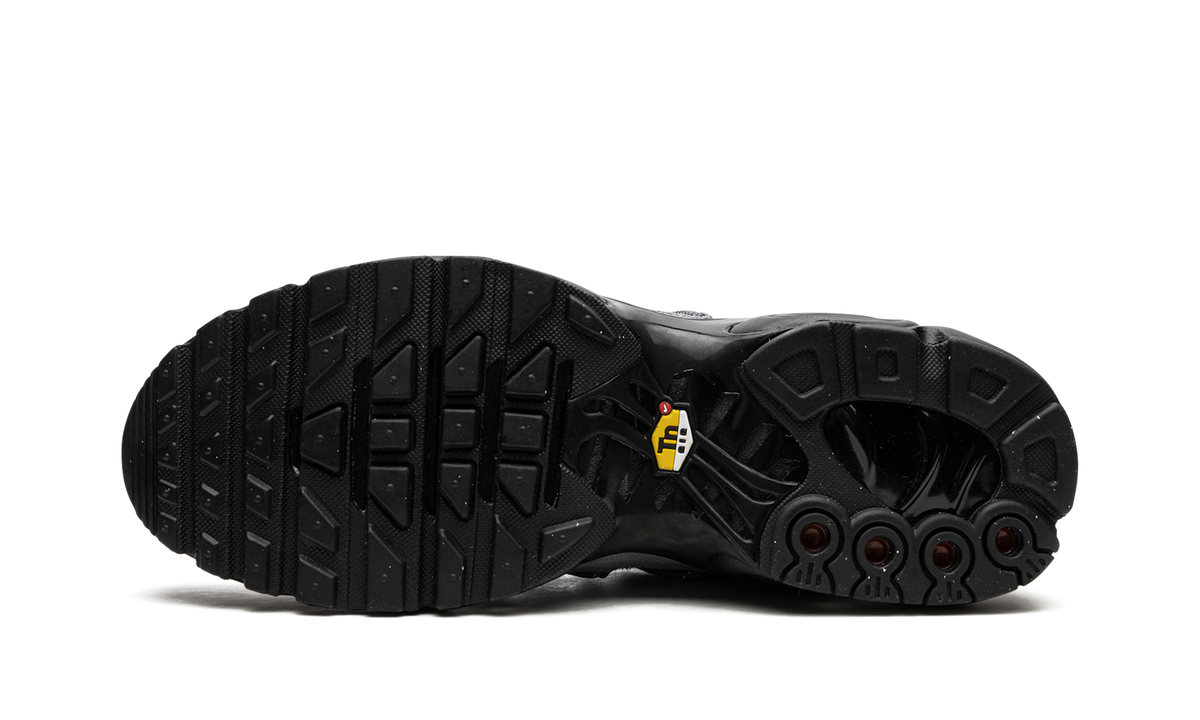 Air Max Plus "Bungee" FD0670 002