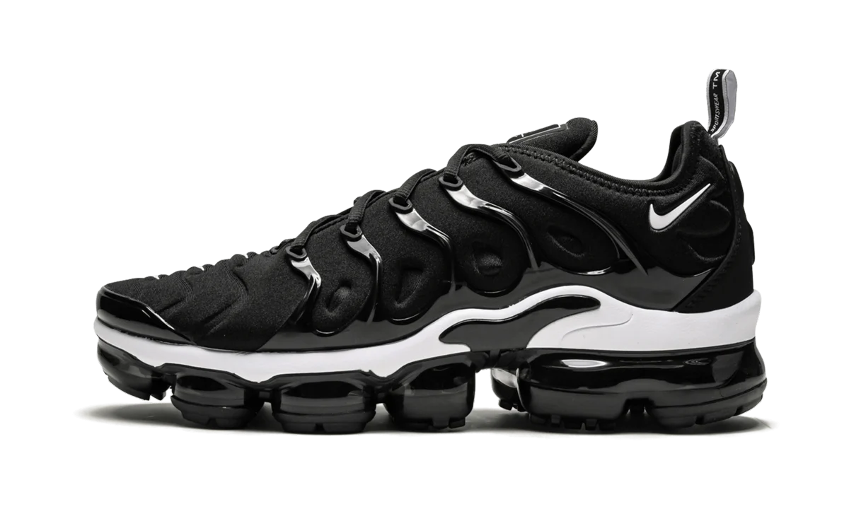 Air Vapormax Plus 924453 011
