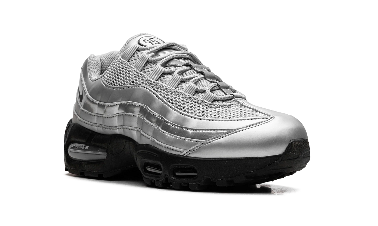 Nike Air Max 95 "Total 90 - Metallic Silver" IB6830 002