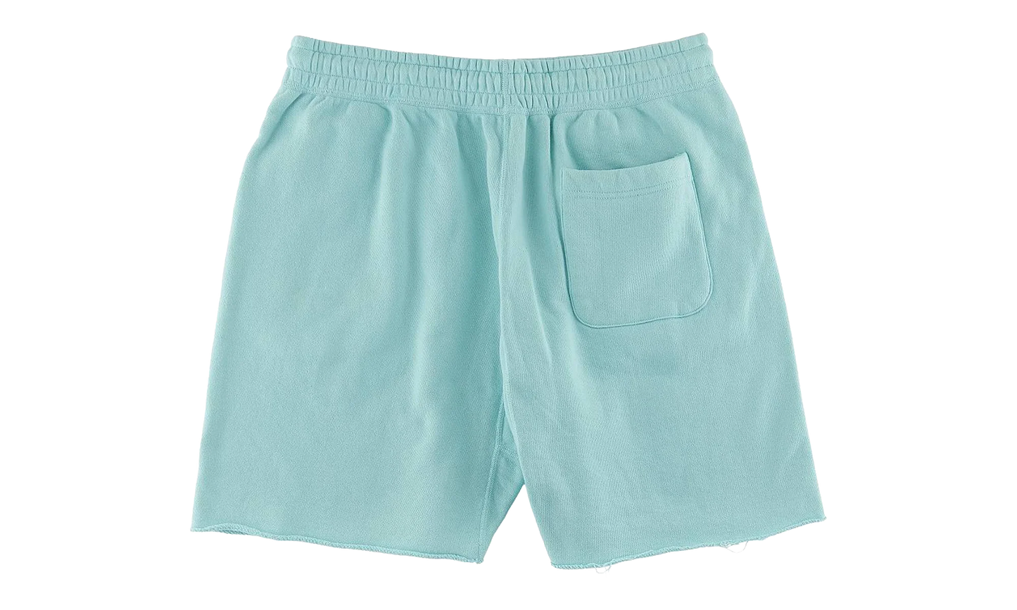 Saint Shorts "Blue" SM S23 0000 057