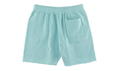 Saint Shorts "Blue" SM S23 0000 057