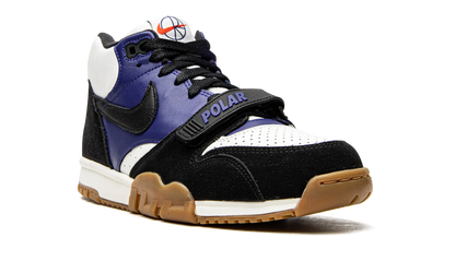 SB Air Trainer 1 "Polar Skate Company" CI6892 001