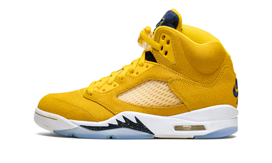 5 Retro PE "Michigan" DJ4954 997021