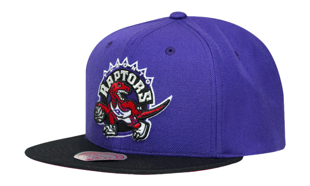 NBA 2-Tone Classic Snapback Cap "Toronto Raptors - Purple / Black" 6HSSJS18093 TRAPRBK