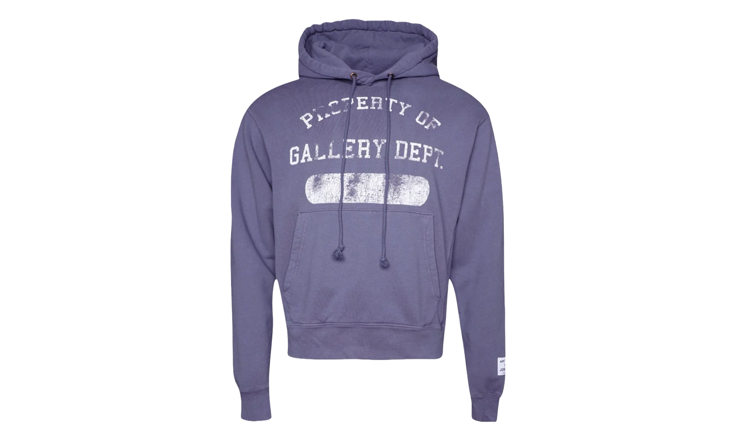 Property Print Cotton Hoodie "Purple" GD079