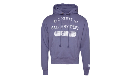 Property Print Cotton Hoodie "Purple" GD079