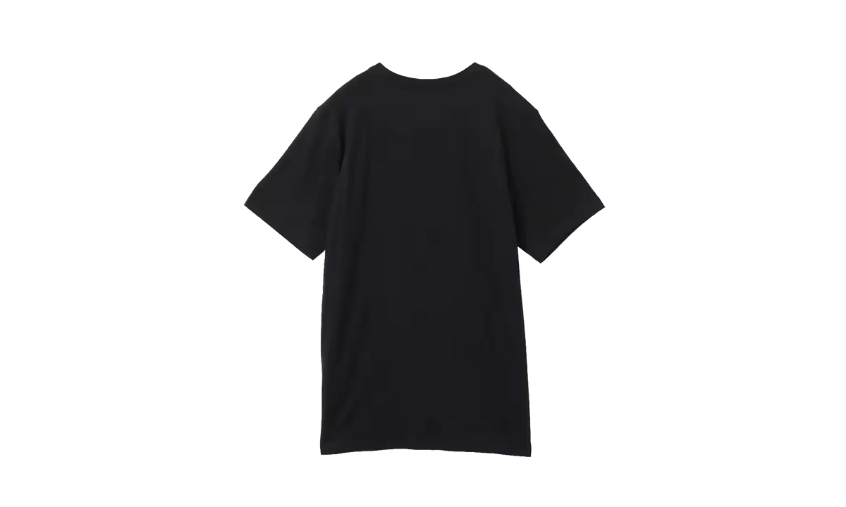 Jordan Graphic T-Shirt "Black / Gym Red" HQ0009 010