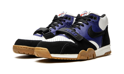 SB Air Trainer 1 "Polar Skate Company" CI6892 001