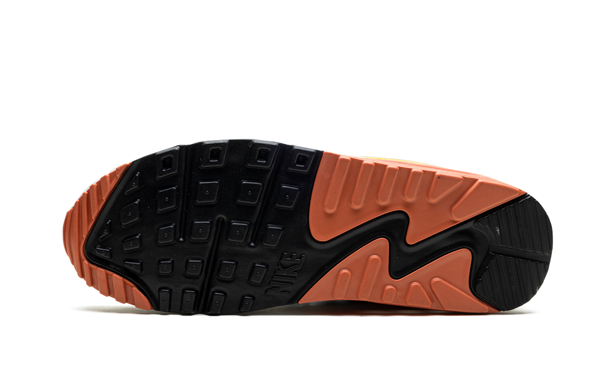 AIR MAX 90 MNS WMNS DJ9991 100