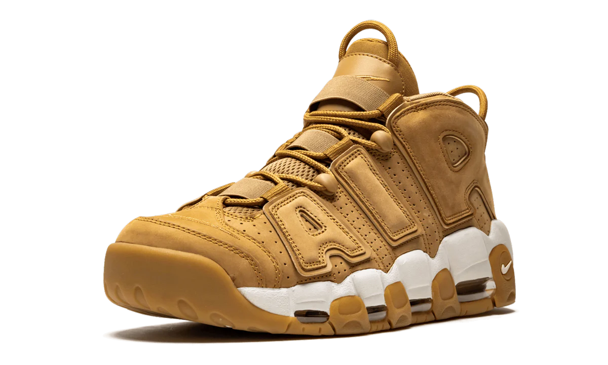Air More Uptempo '96 PRM AA4060 200