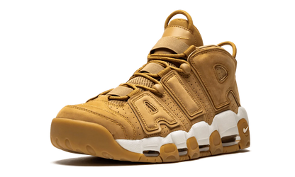 Air More Uptempo '96 PRM AA4060 200