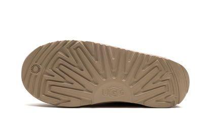Tasman II GS "Beachwood" 1019066 K BCHW